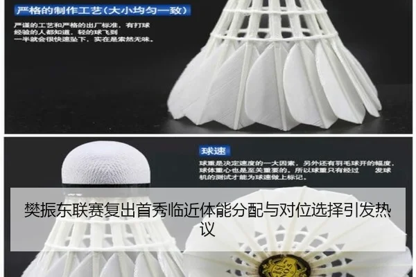 樊振东联赛复出首秀临近体能分配与对位选择引发热议